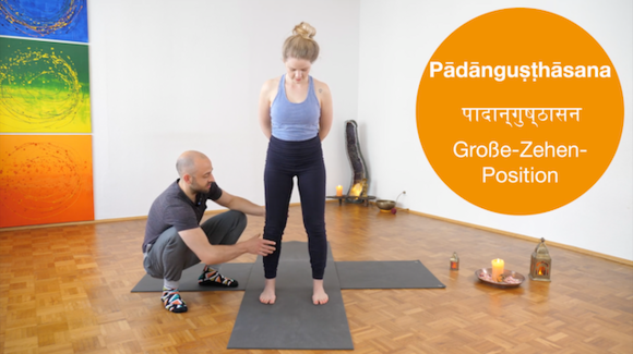 Fundament - Yoga Kurs für Einsteiger*innen (Online Kurs)