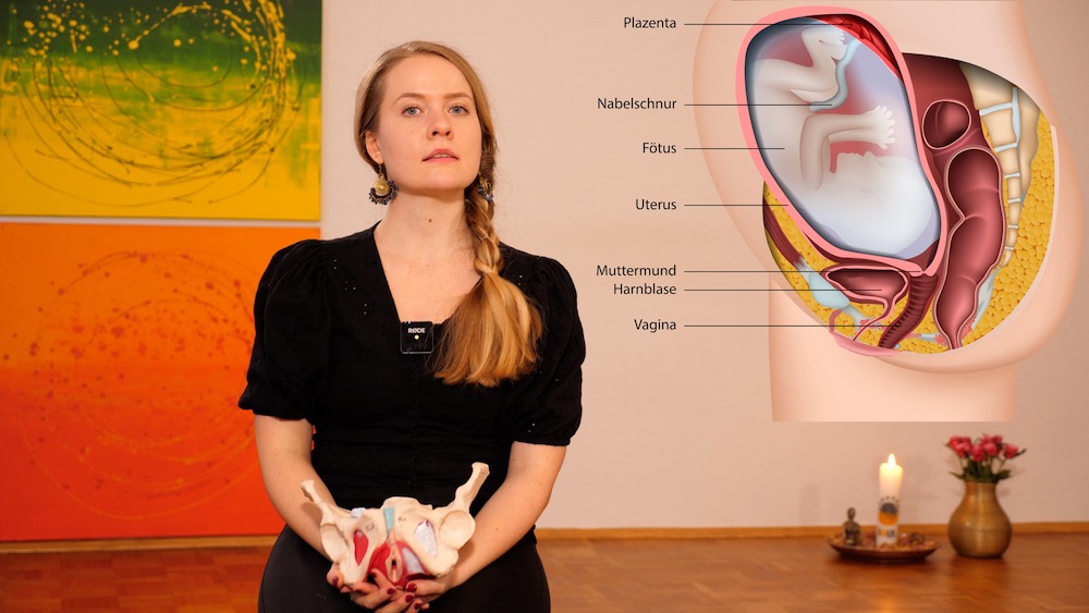 Online Yogakurs in der Schwangerschaft, für Schwangere, Geburtsvorbereitung, Geburt vorbereiten, Beckenboden
